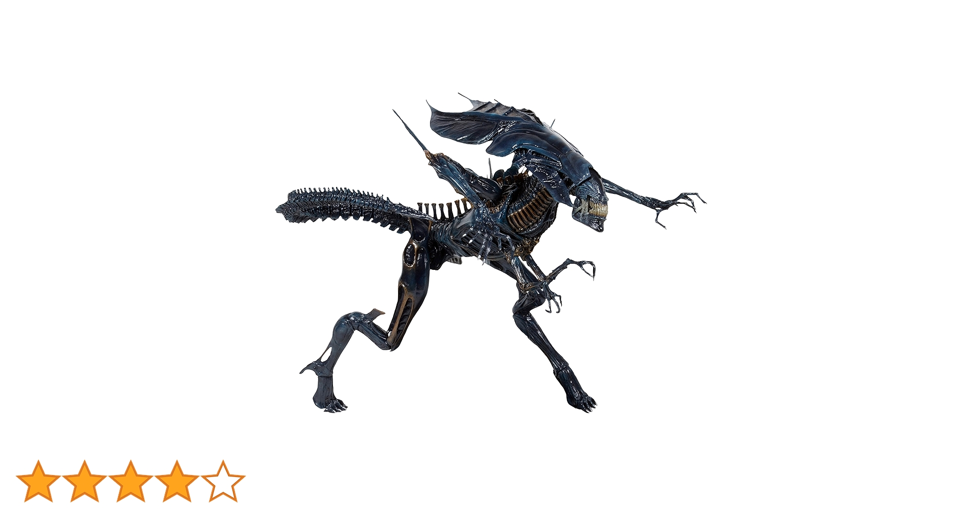 81sf9q-uZIL.jpg_BO30,255,255,